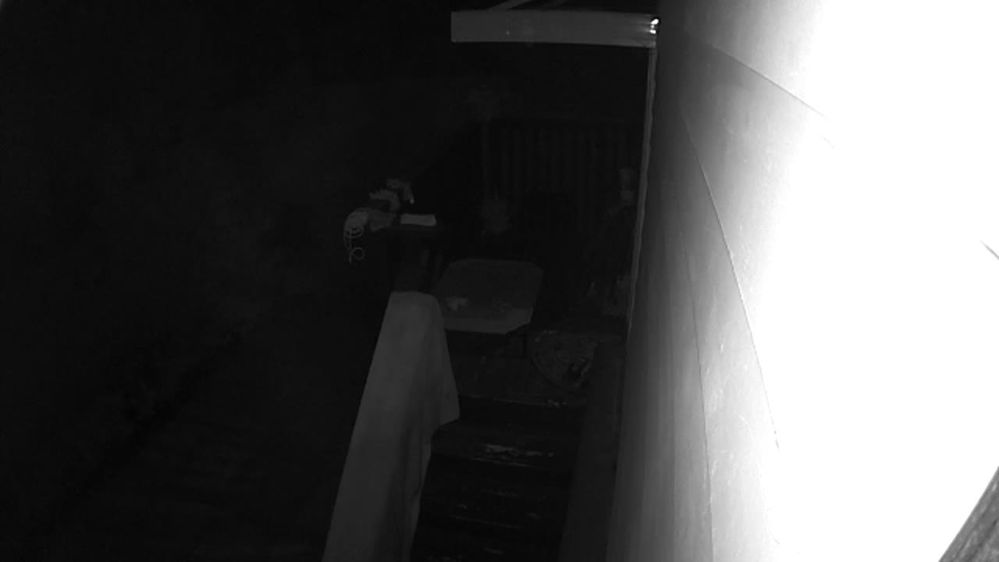 Back door_10_07_2017 7_22_53PM_1507429373328.jpg