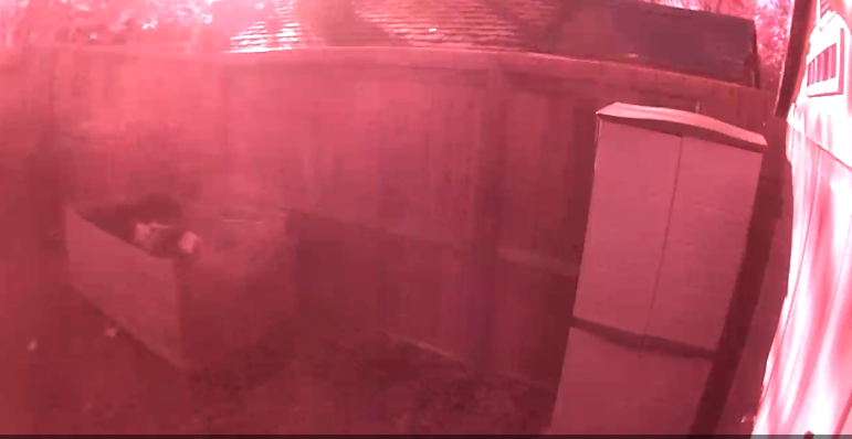 pink.PNG