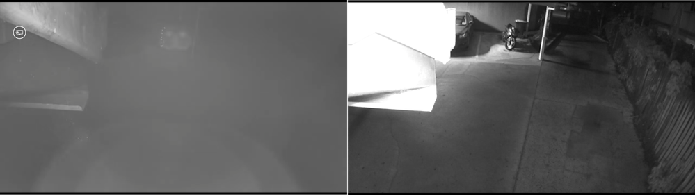 Arlo Image.png