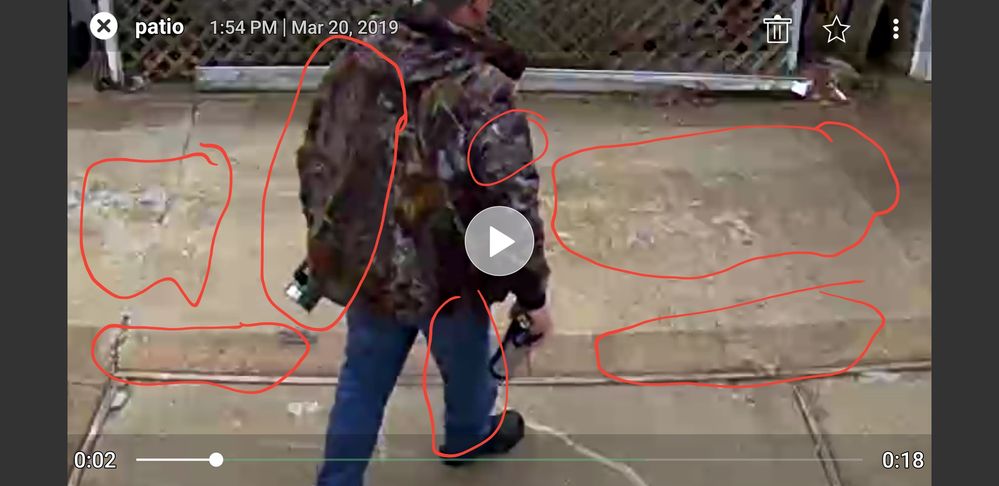 Screenshot_20190320-171253_Arlo.jpg