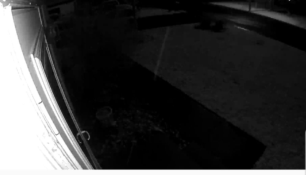 Screenshot_20210115-195055_Arlo.jpg