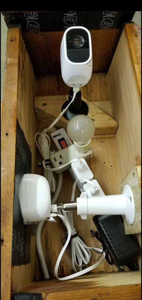 Arlo birdhouse.jpg