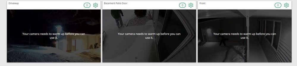 Cold Arlo.JPG