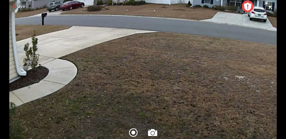 Screenshot_20190127-161738_Arlo.jpg