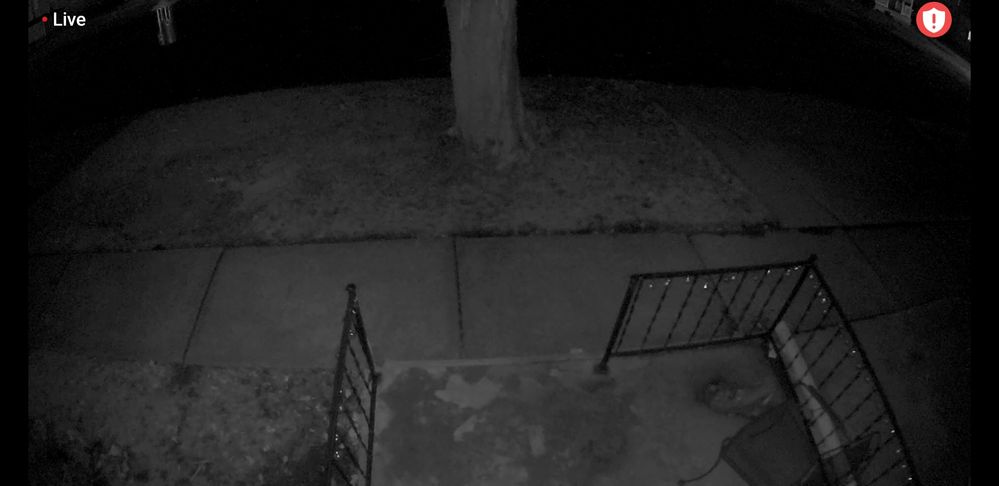 Screenshot_20190205-185948_Arlo.jpg
