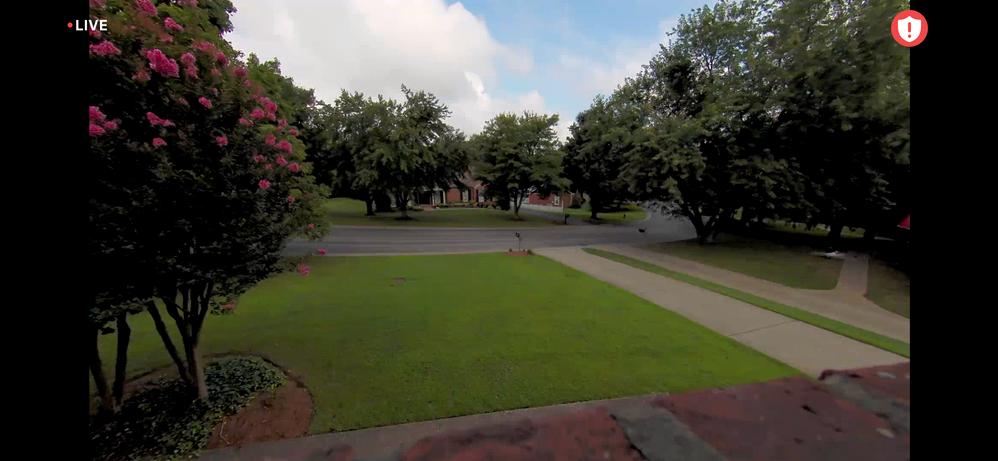 D11CC836-0121-4F77-90DC-E7A536962D3D.png