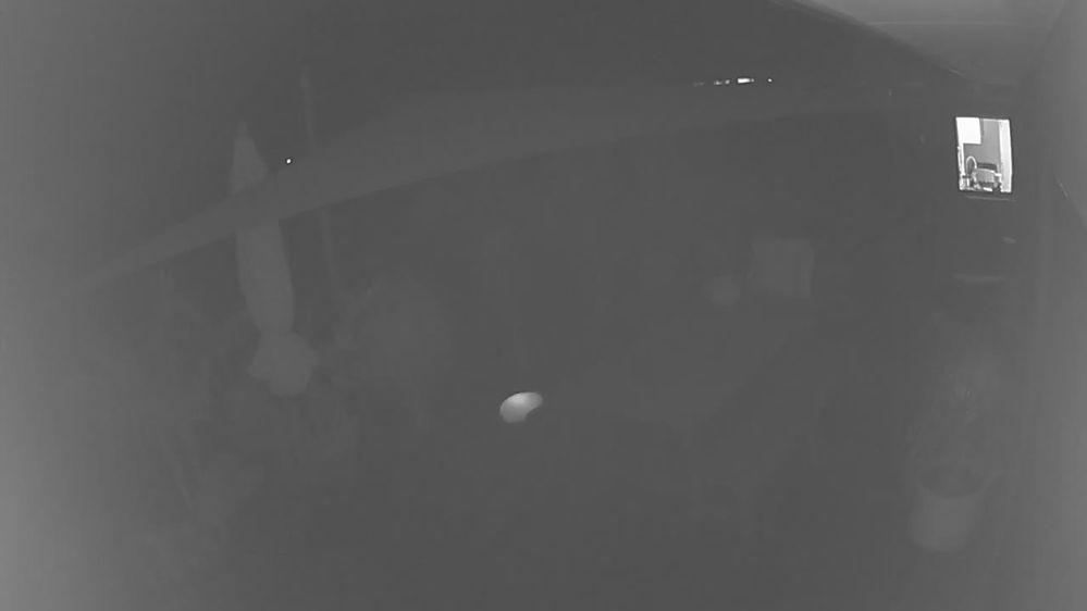 Einfahrt_11_12_2018 9_15_22nachm._1542017722484-1.jpg