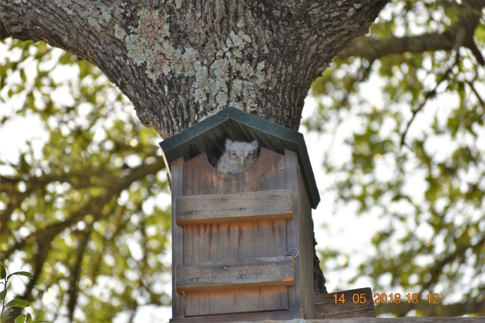 DSC_0001.JPG