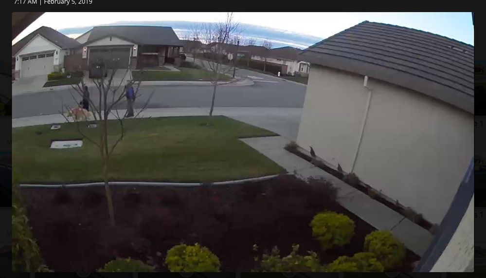 Screen Shot showing start of video.jpg