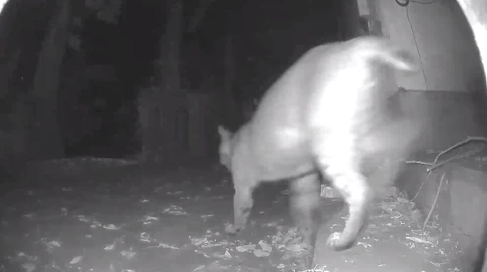 VideoCapture_20190619-213821.jpg
