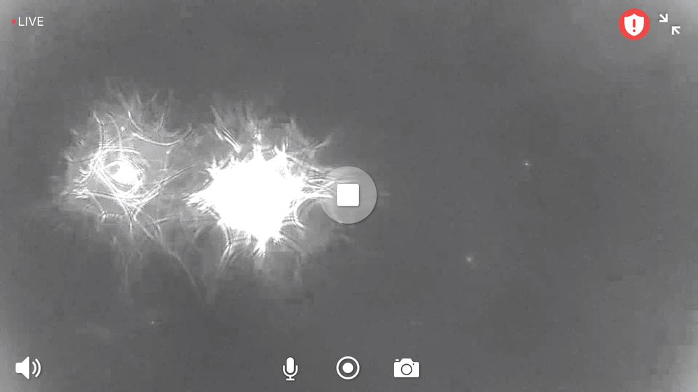 A1431B7F-D49C-4776-B5C5-684E7BFC42B5.png