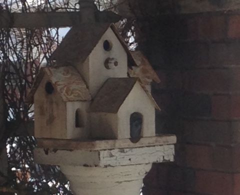 Bird house.JPG