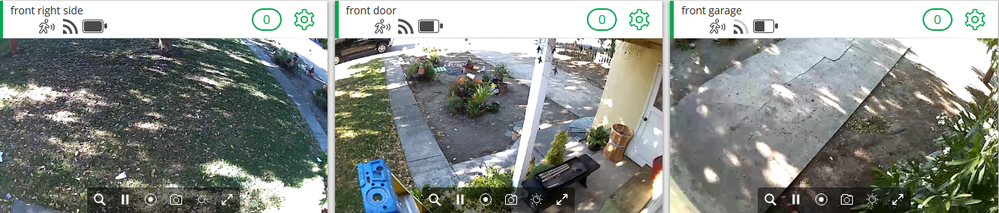 arlo front yard.png