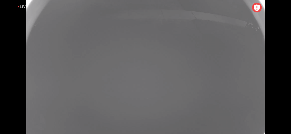 69E94495-F156-4A1F-B367-EF43C01E79A2.png
