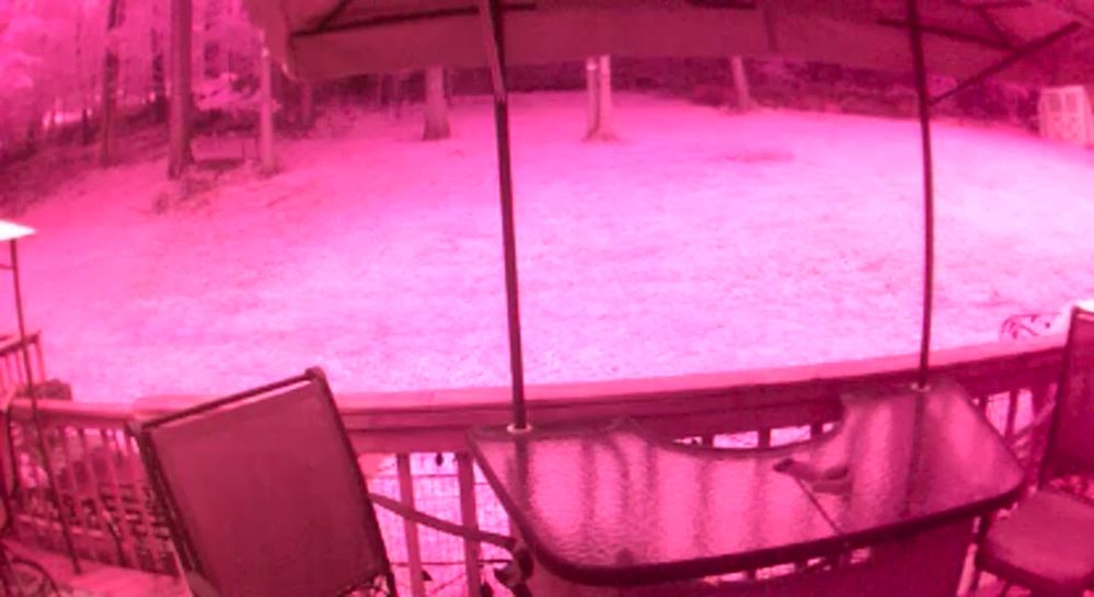 pink_06_19_2019 2_21_43PM.jpg