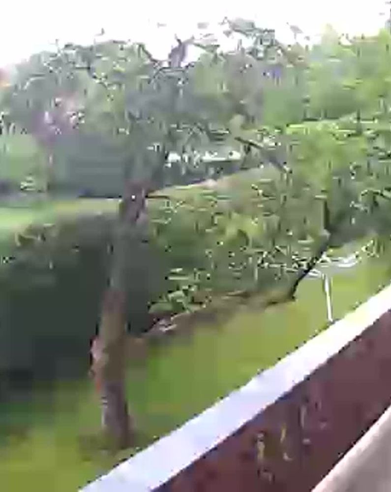 Balkon|Garten 3_05_25_2019 6_55_35nachm..jpg