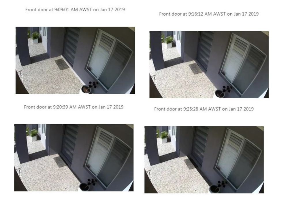 Arlo 2.jpg