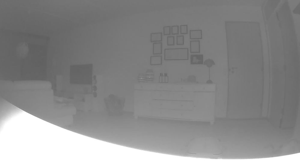 1556829329654.jpg