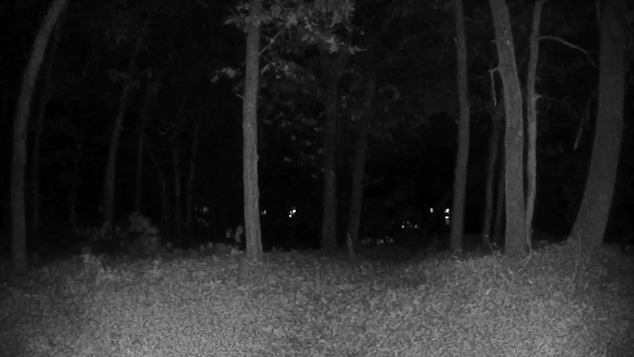 arlo night camera