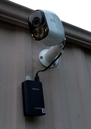 Arlo.jpg