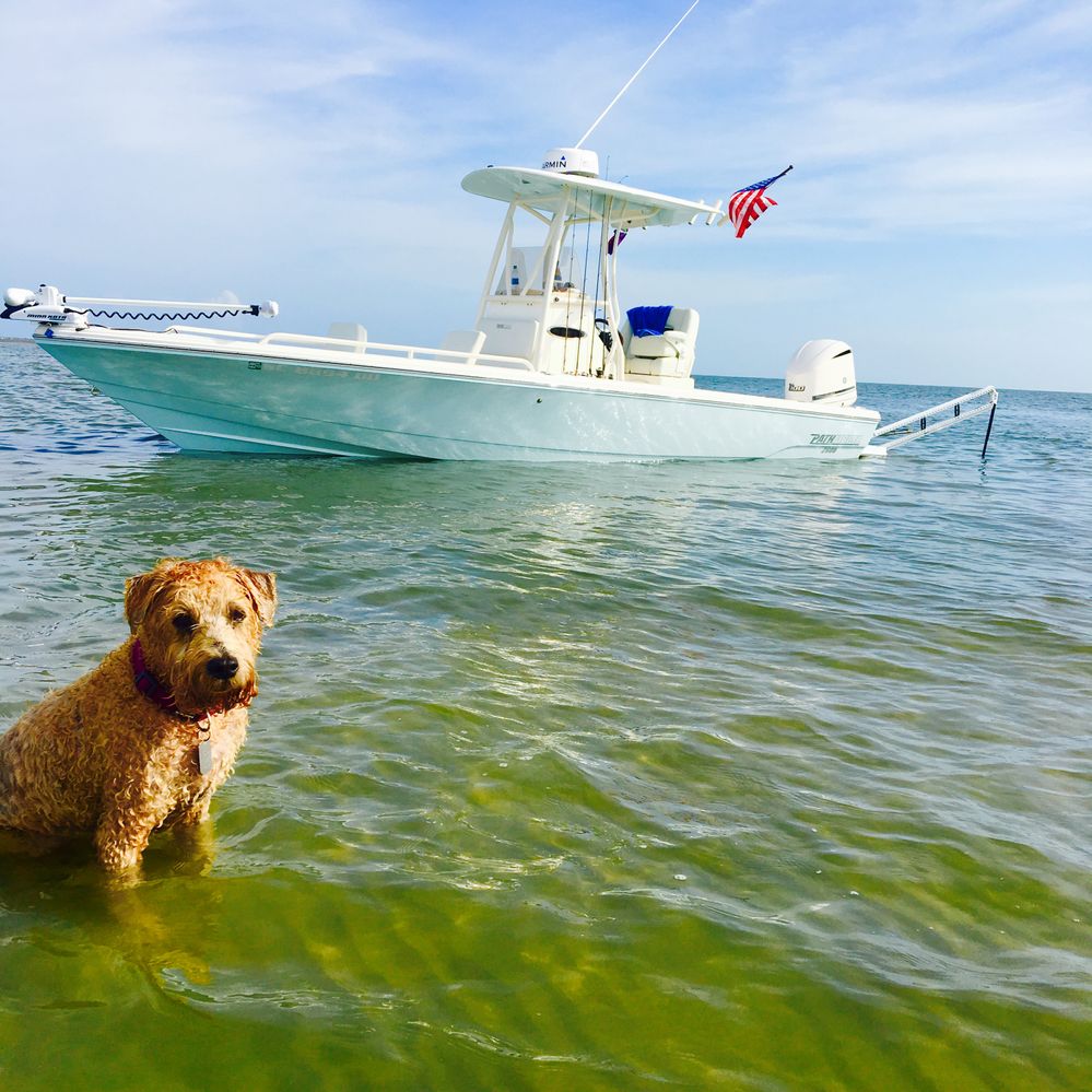 Murphy on the water