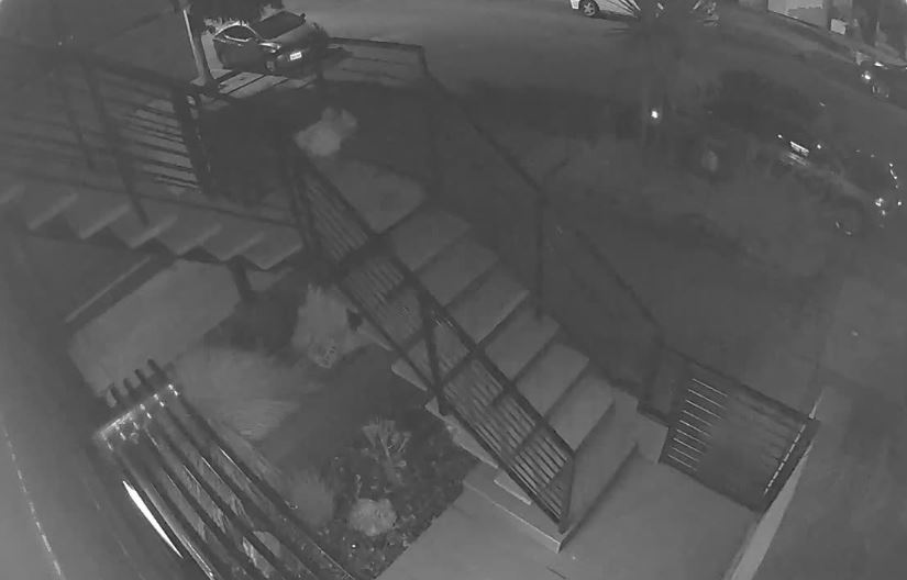 arlo night vision camera