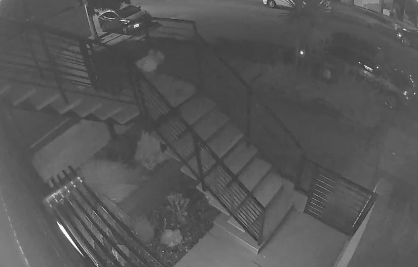 Arlo pro 2 night vision distance top