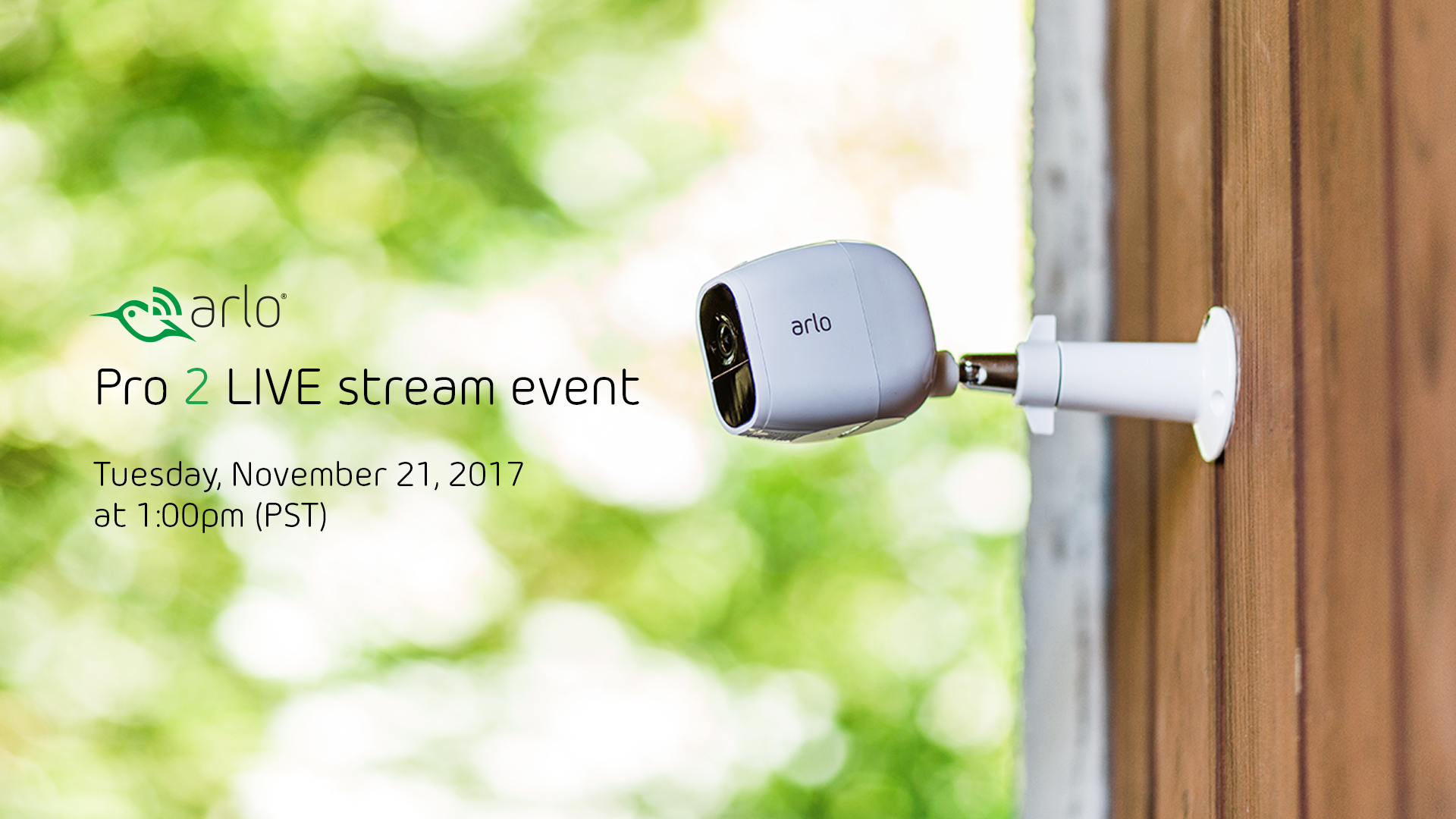 Arlo camera live store stream