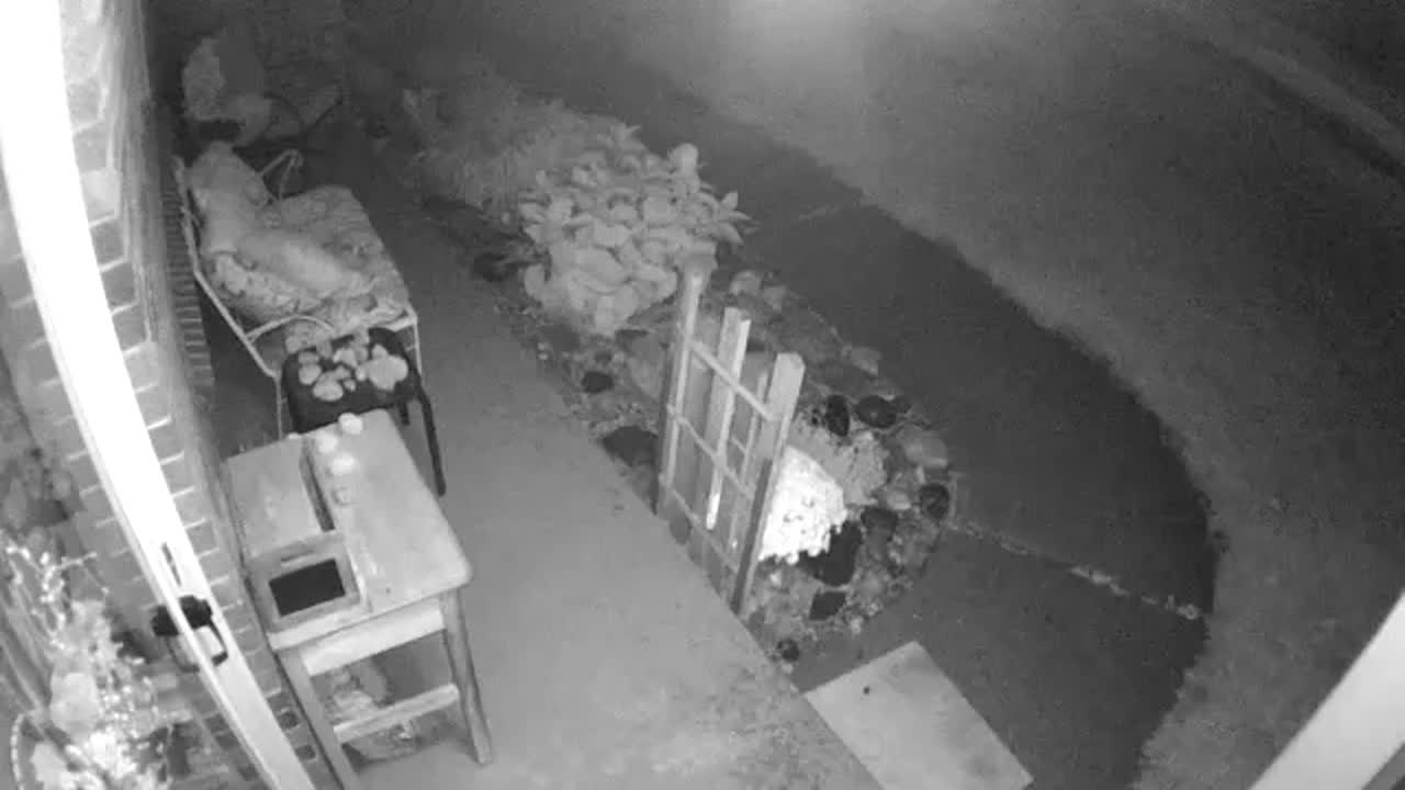 Solved: Arlo Wire-Free Camera night vision working -