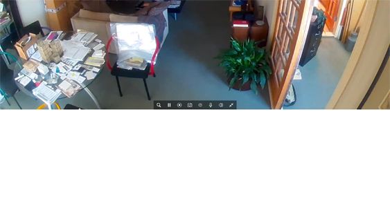 Arlo pro 2 online live view