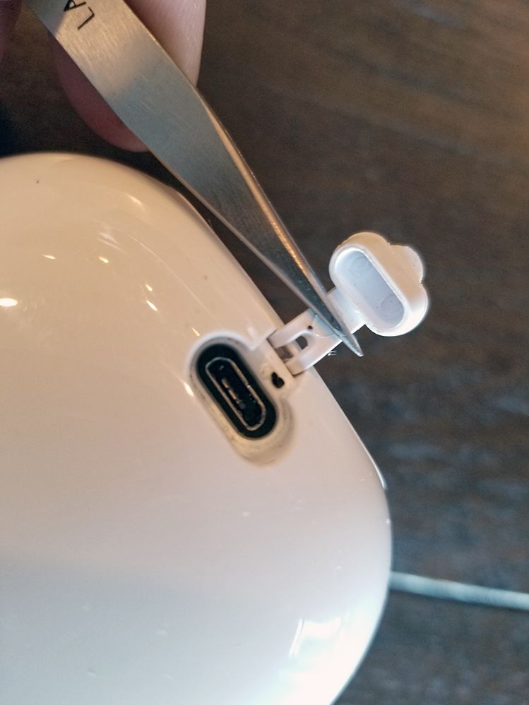 port-plug-sm.jpg