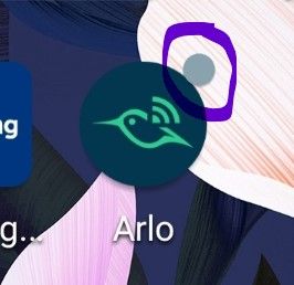 Arlo App Icon.jpg