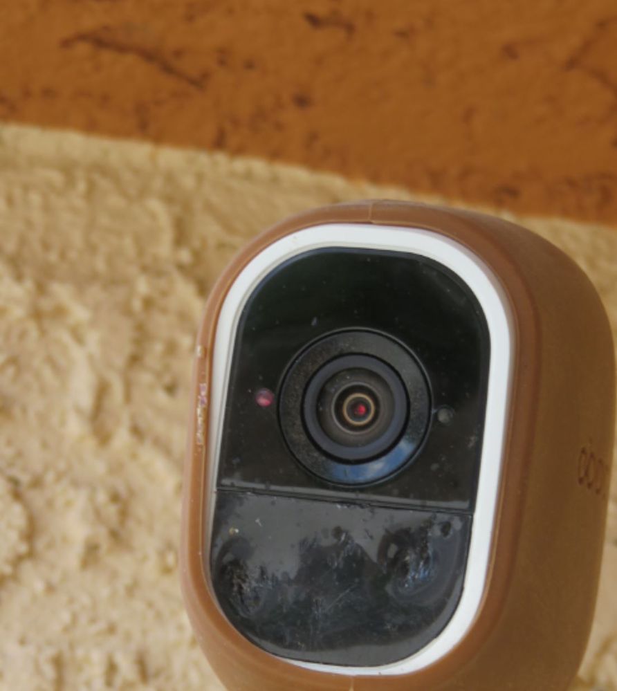 Re Woodpecker attacked my Pro 2 camera and put a Arlo Community