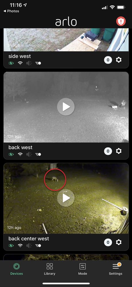 2019-11-02_11-30-01 deer not picked up by arlo.jpg