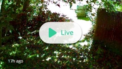 1st Camera Full Color Video Thumbnail.jpg