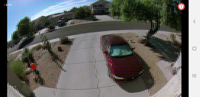 Screenshot_20231018-093608_Arlo Secure.jpg